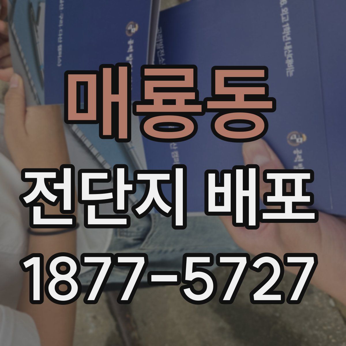 매룡동 전단지 배포