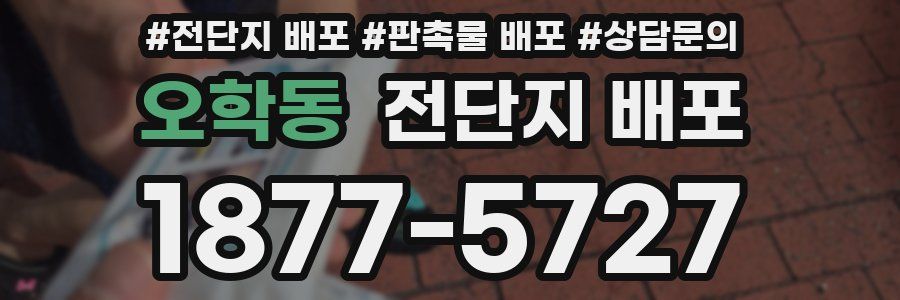 오학동 전단지 배포