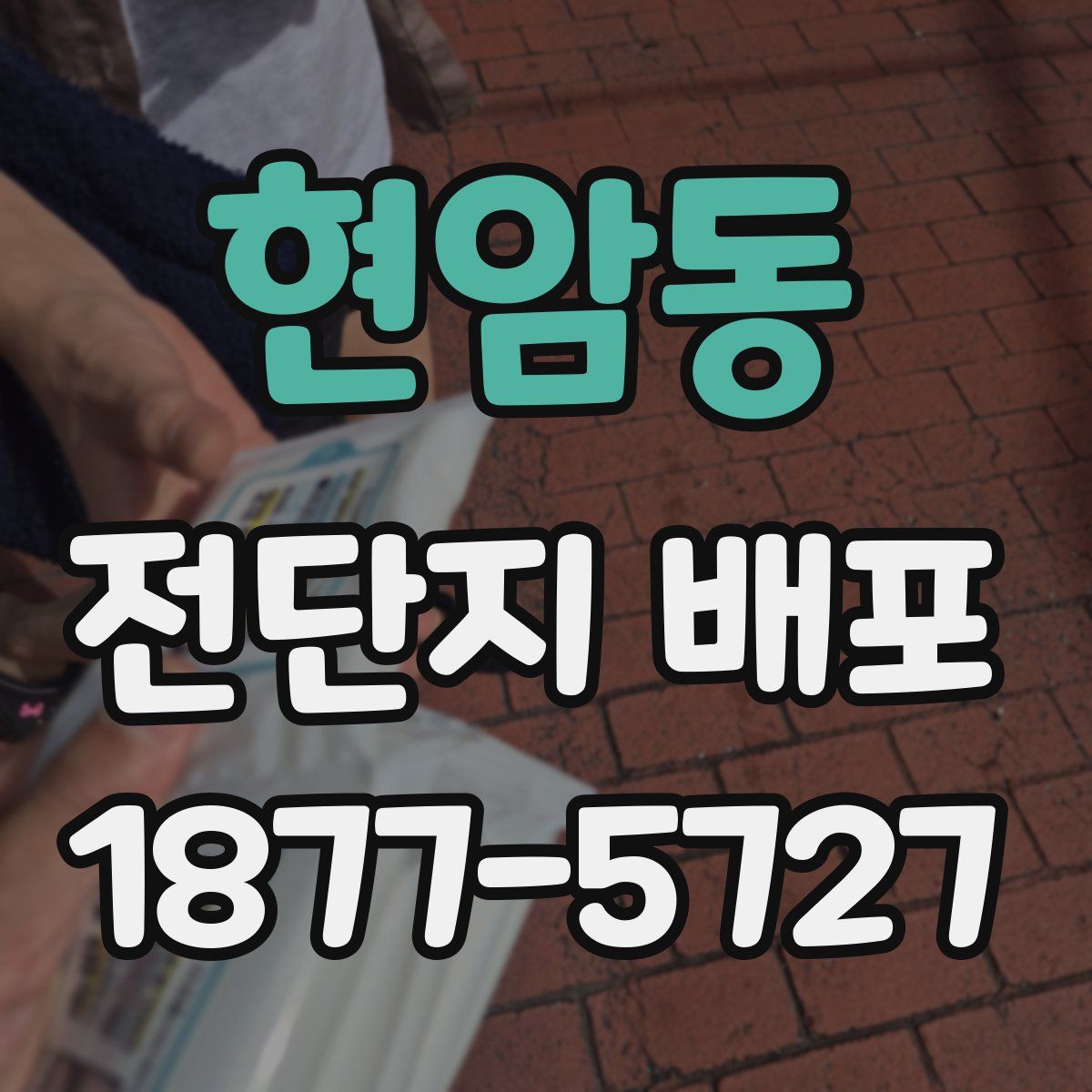 현암동 전단지 배포