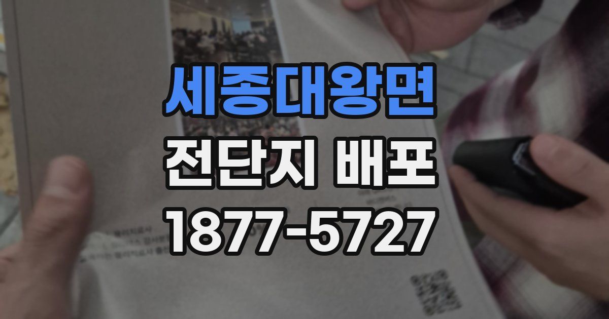 세종대왕면 전단지 배포
