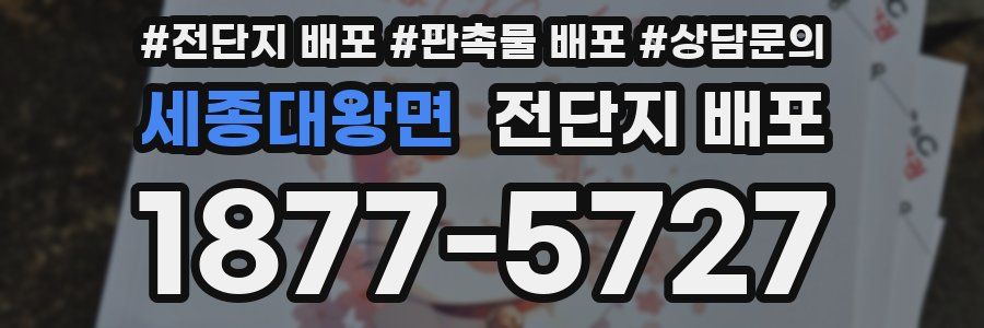 세종대왕면 전단지 배포