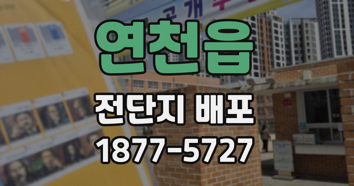 연천읍 전단지 배포