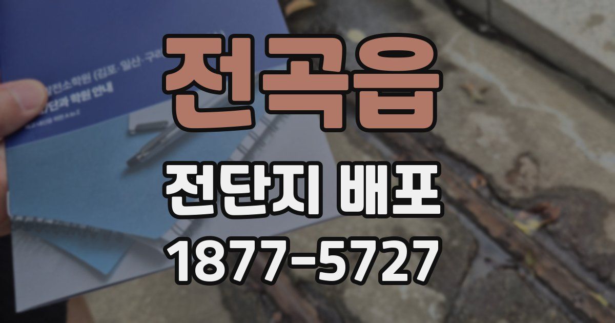 전곡읍 전단지 배포