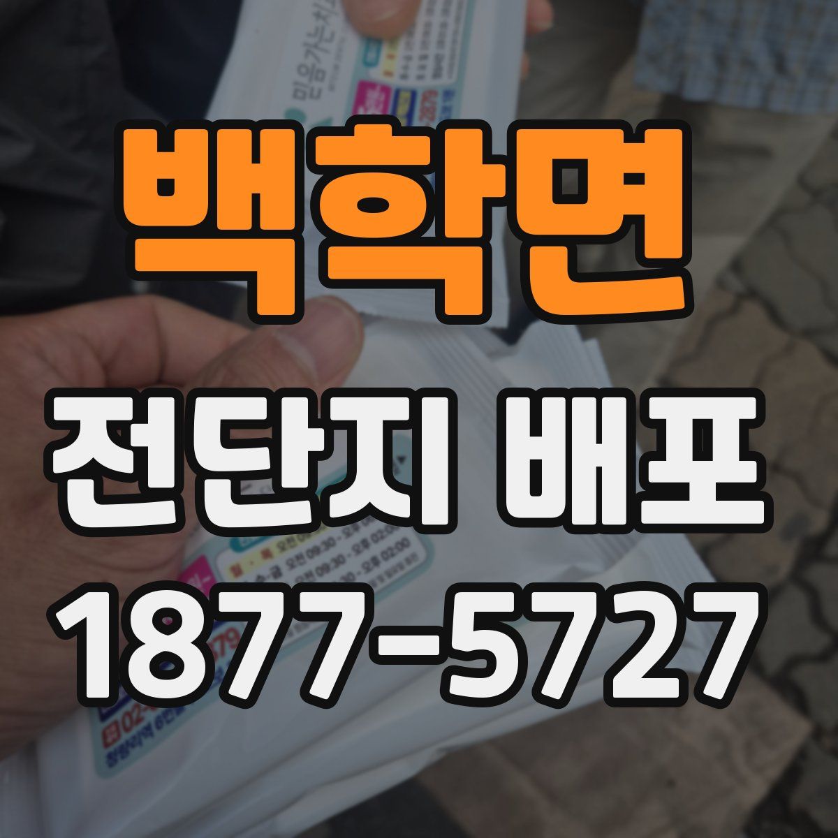 백학면 전단지 배포
