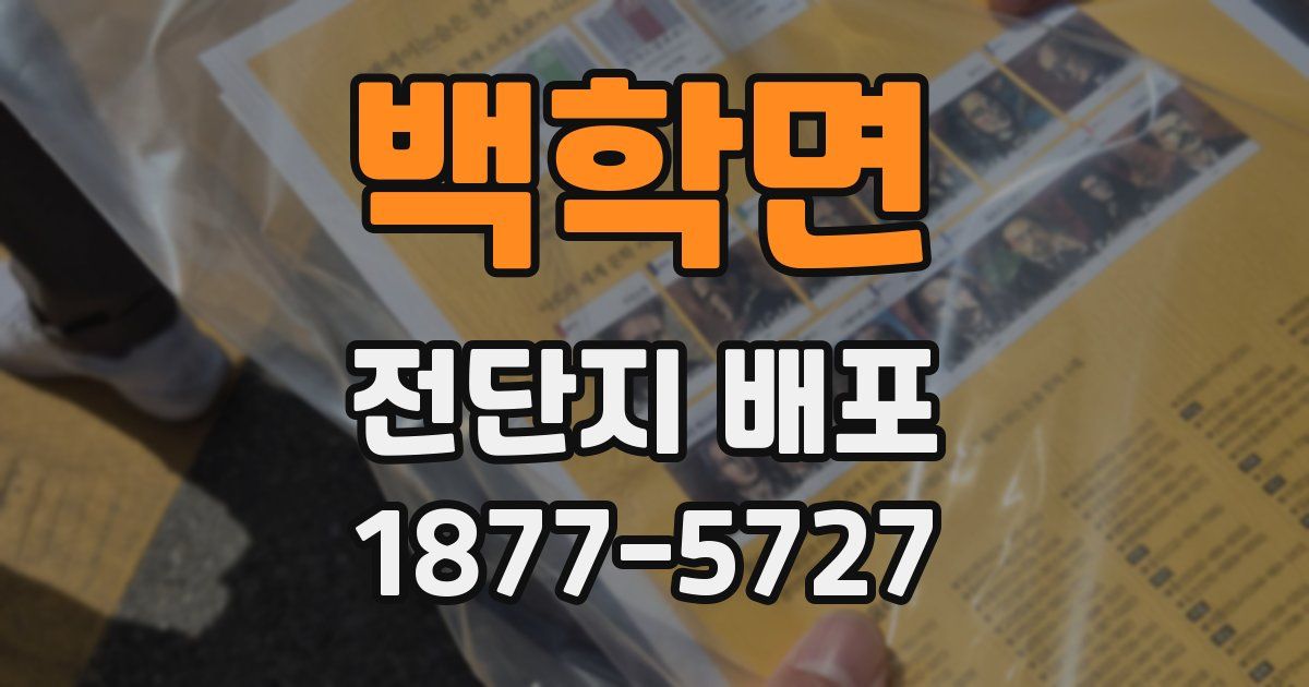 백학면 전단지 배포