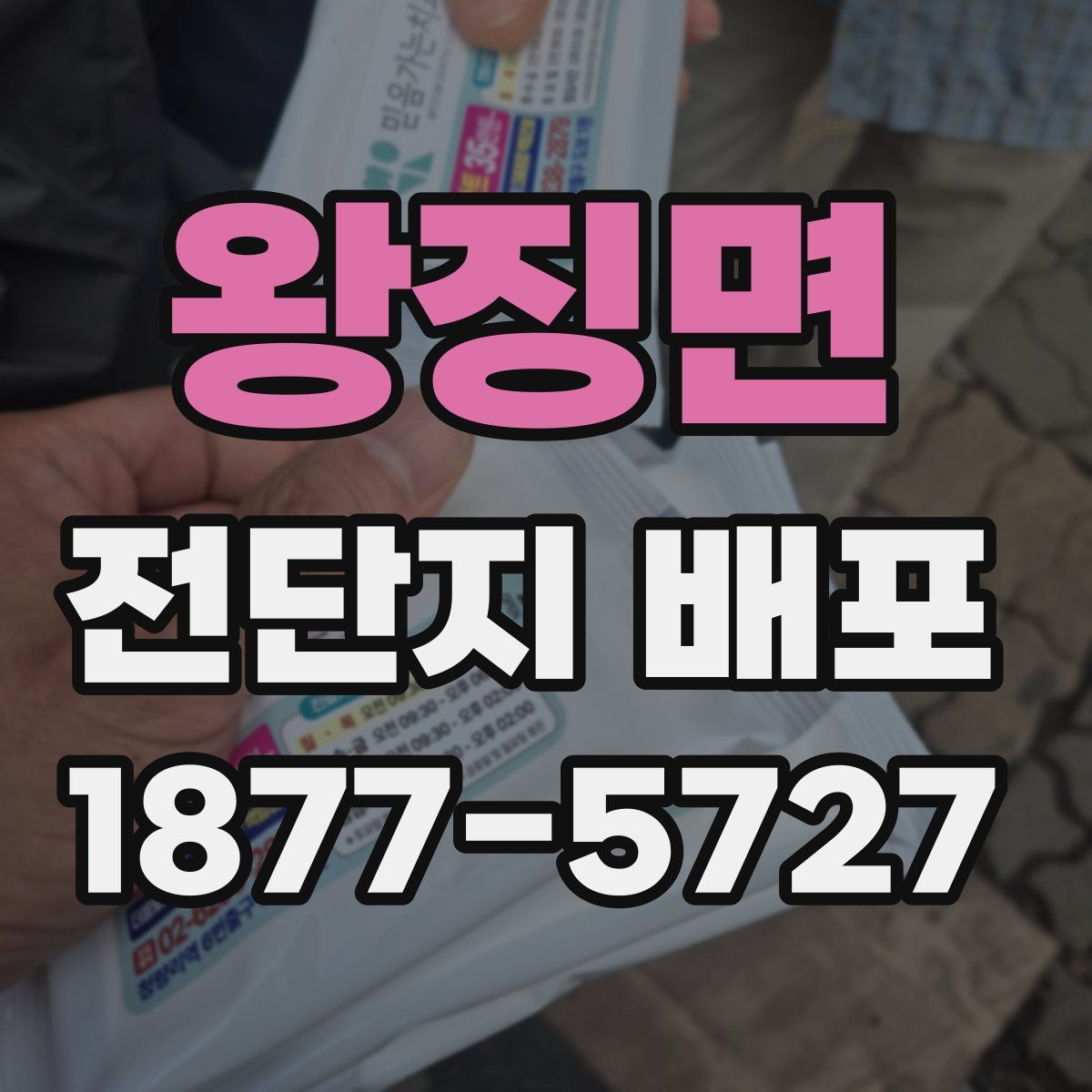 왕징면 전단지 배포