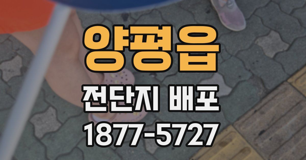 양평읍 전단지 배포