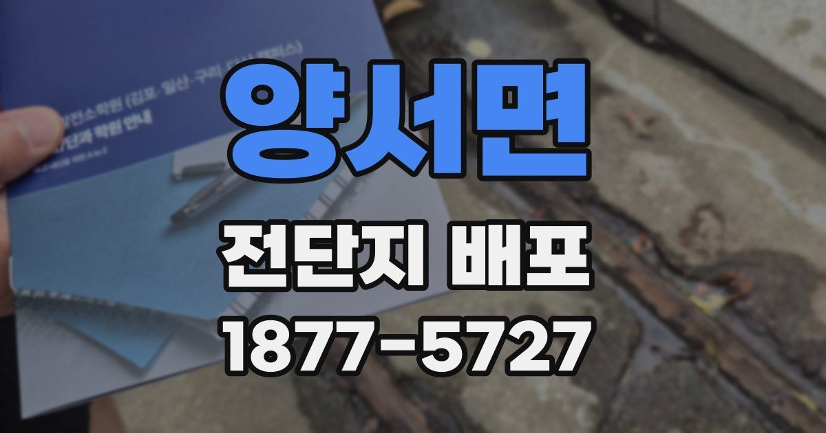 양서면 전단지 배포