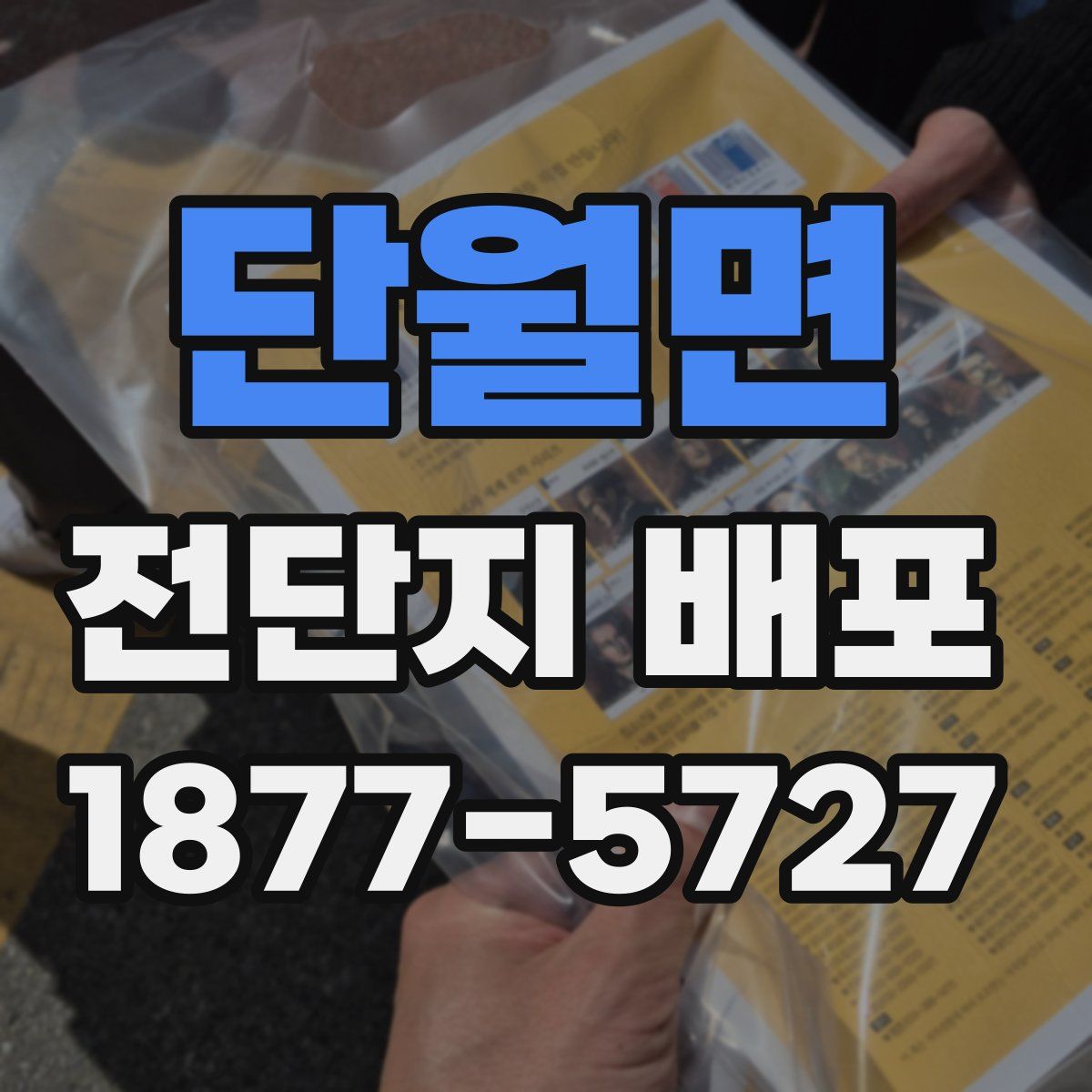 단월면 전단지 배포
