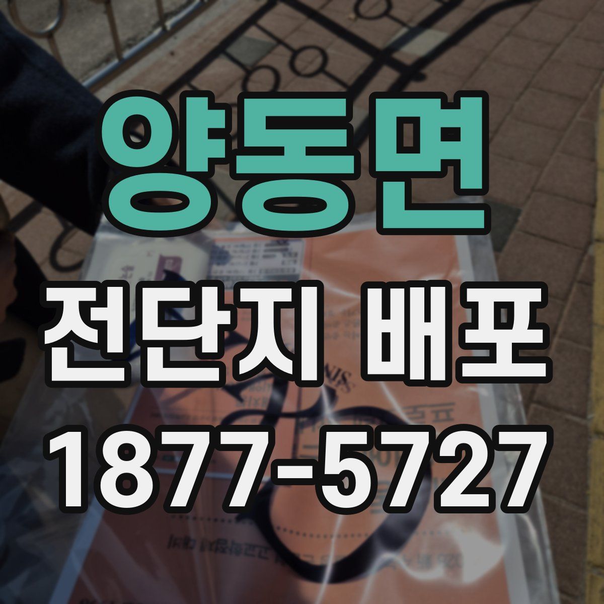 양동면 전단지 배포