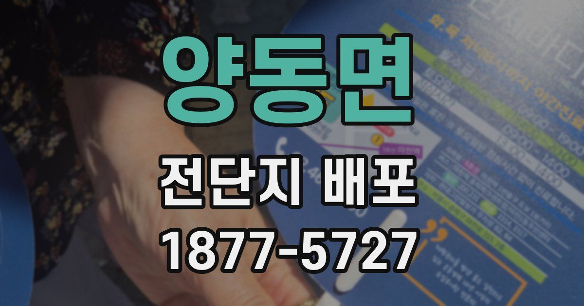 양동면 전단지 배포