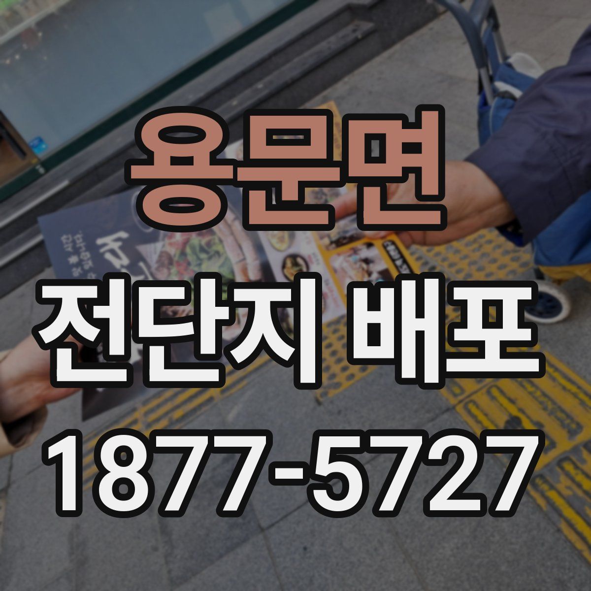 용문면 전단지 배포