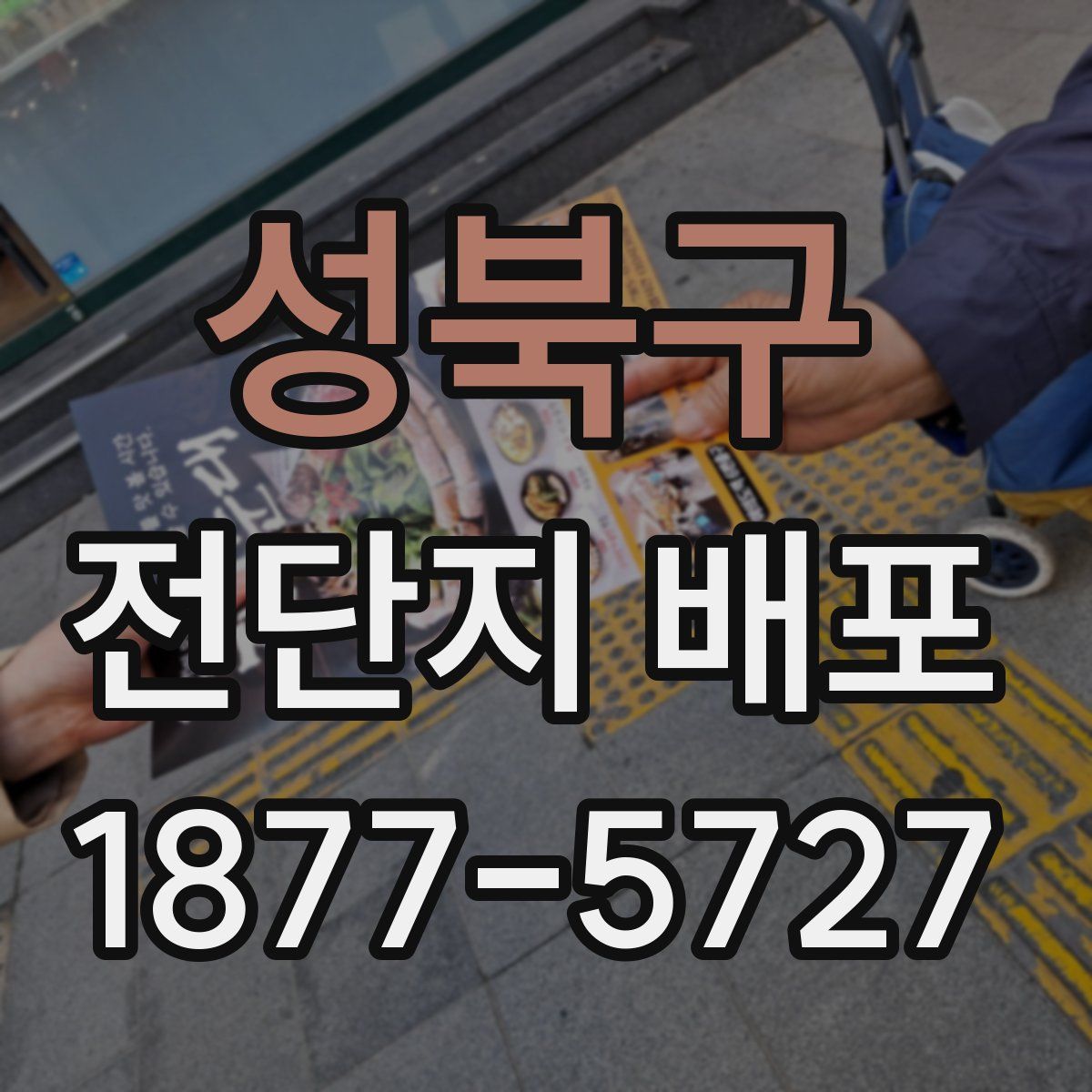 성북구 전단지 배포
