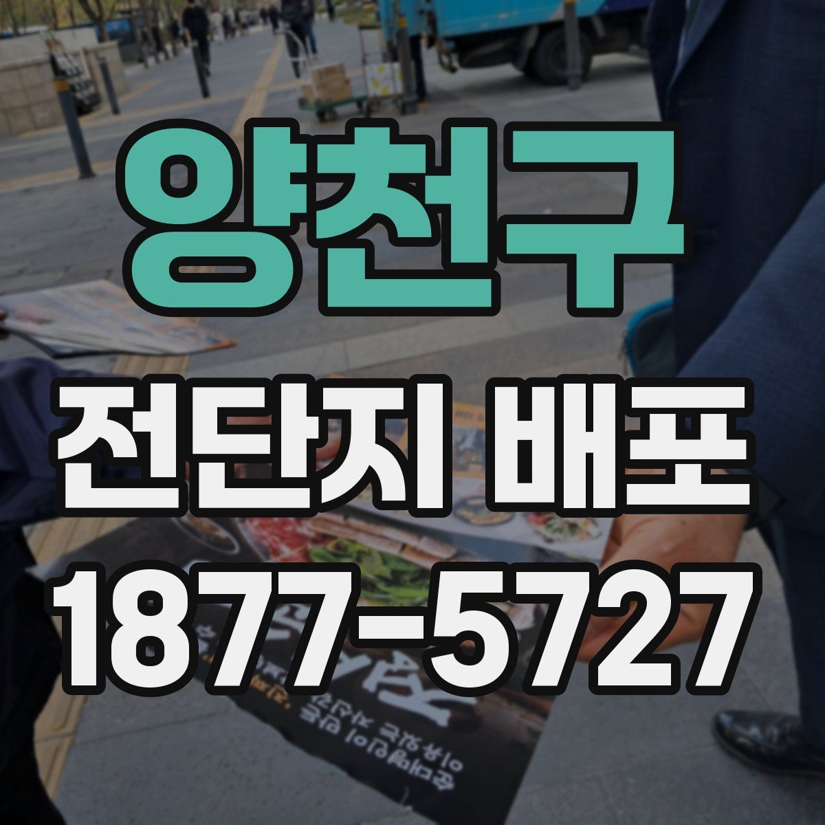 양천구 전단지 배포