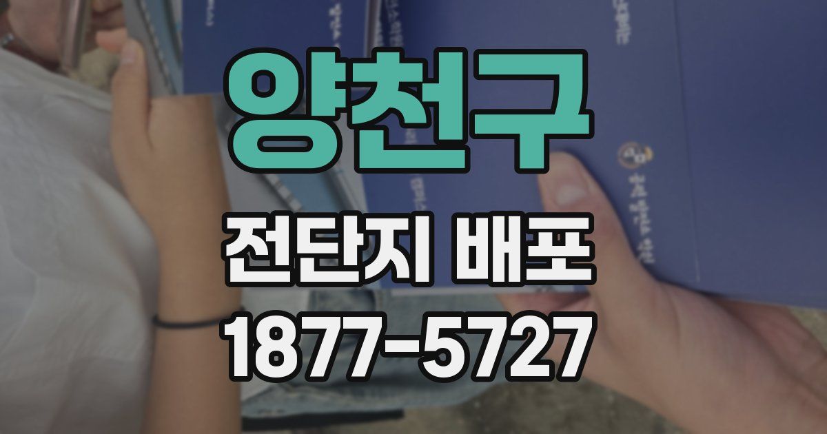 양천구 전단지 배포