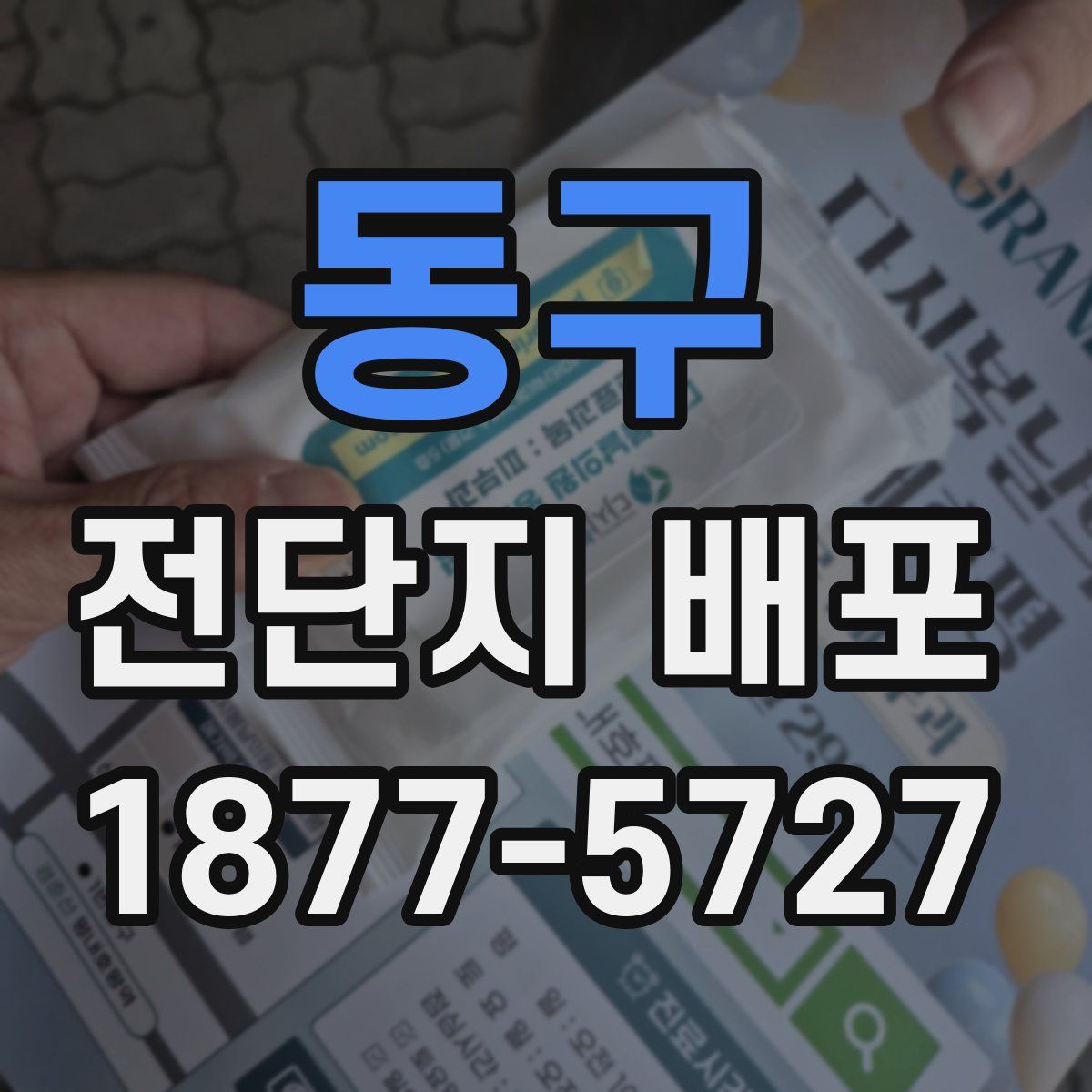 동구 전단지 배포