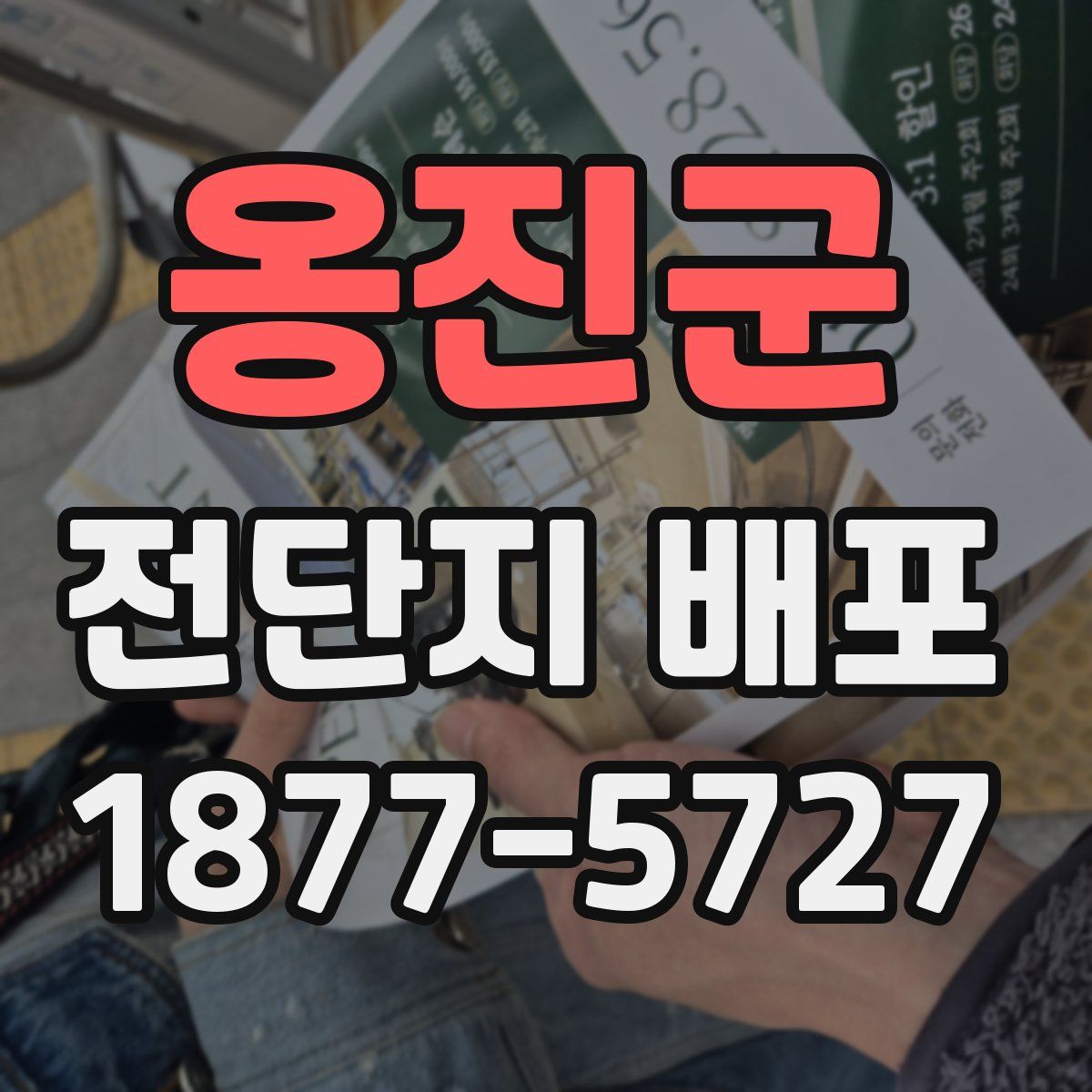 옹진군 전단지 배포