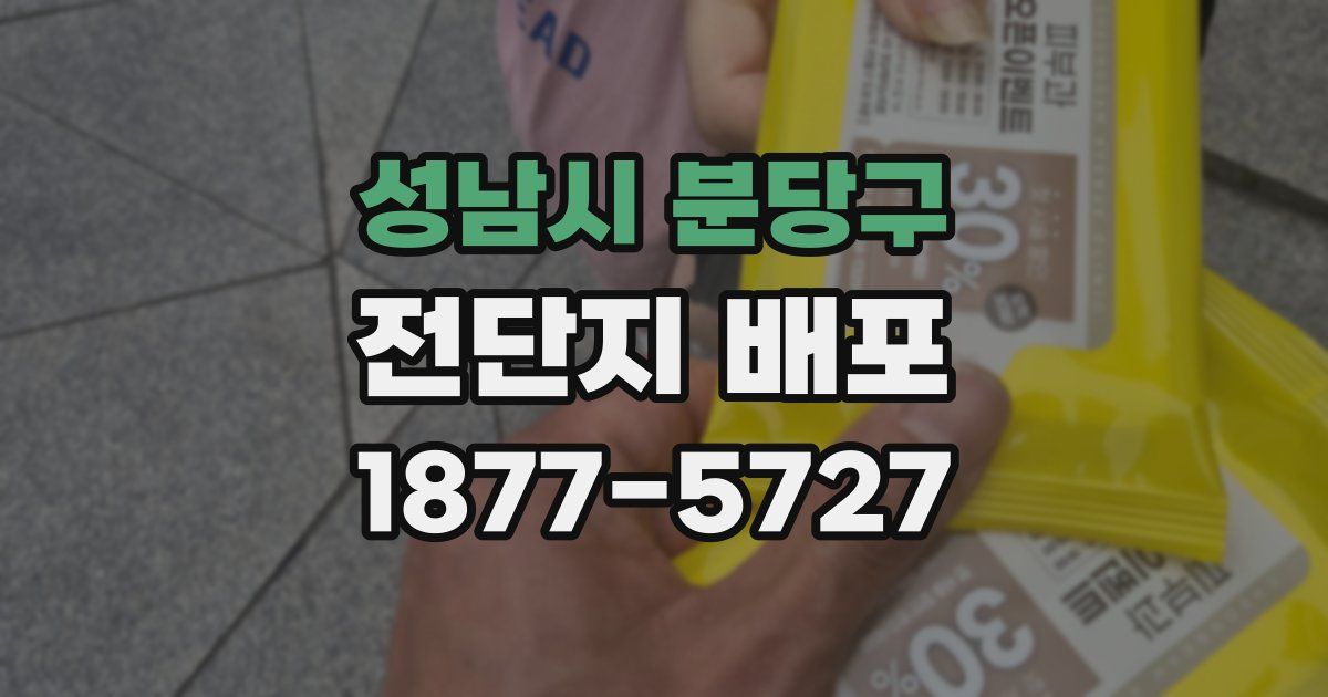 성남시 분당구 전단지 배포