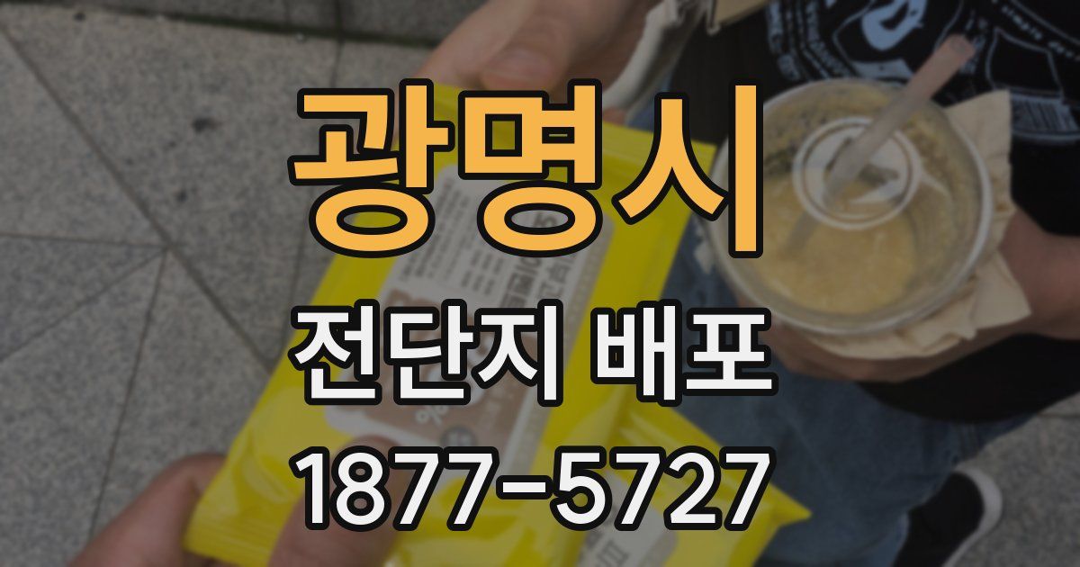 광명시 전단지 배포