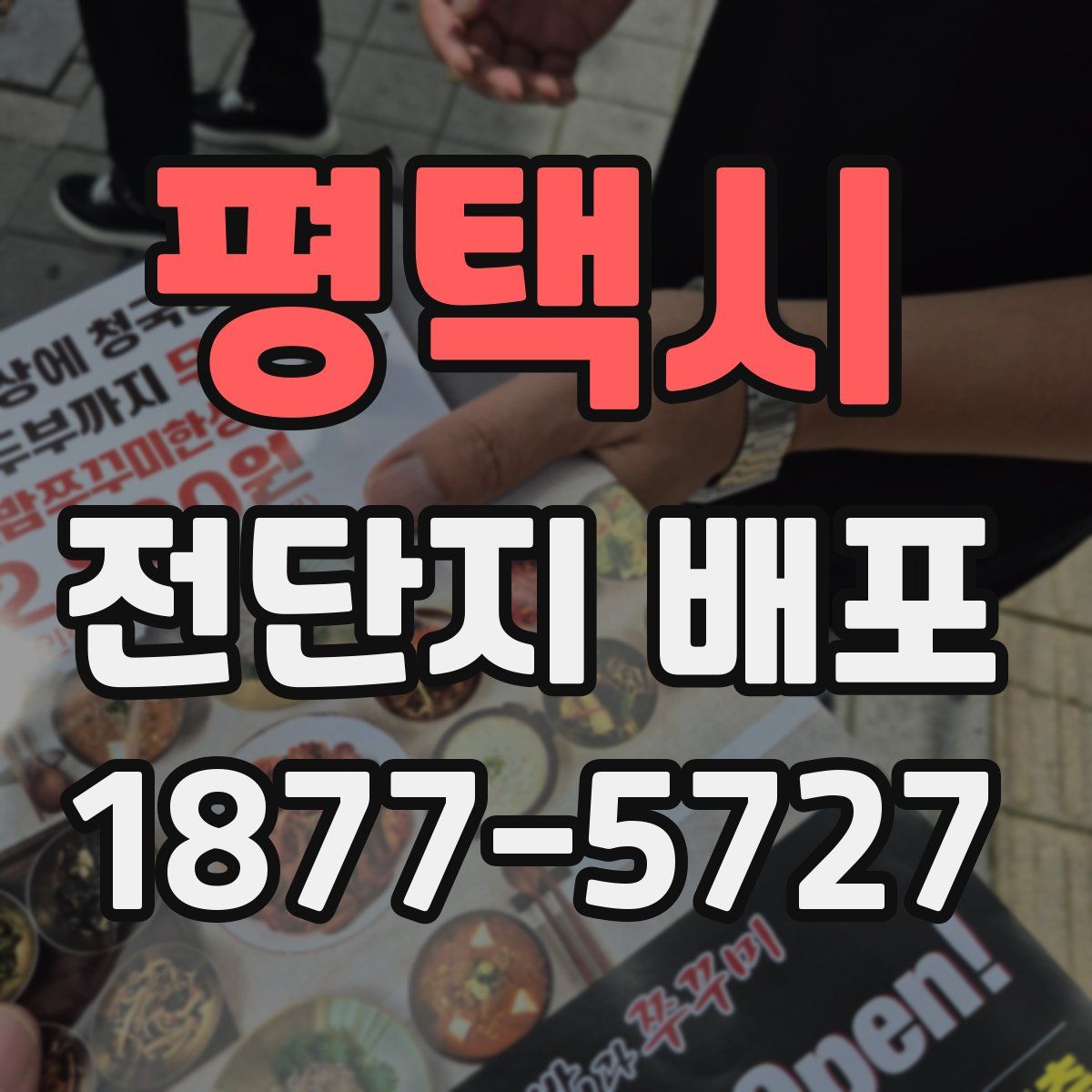 평택시 전단지 배포