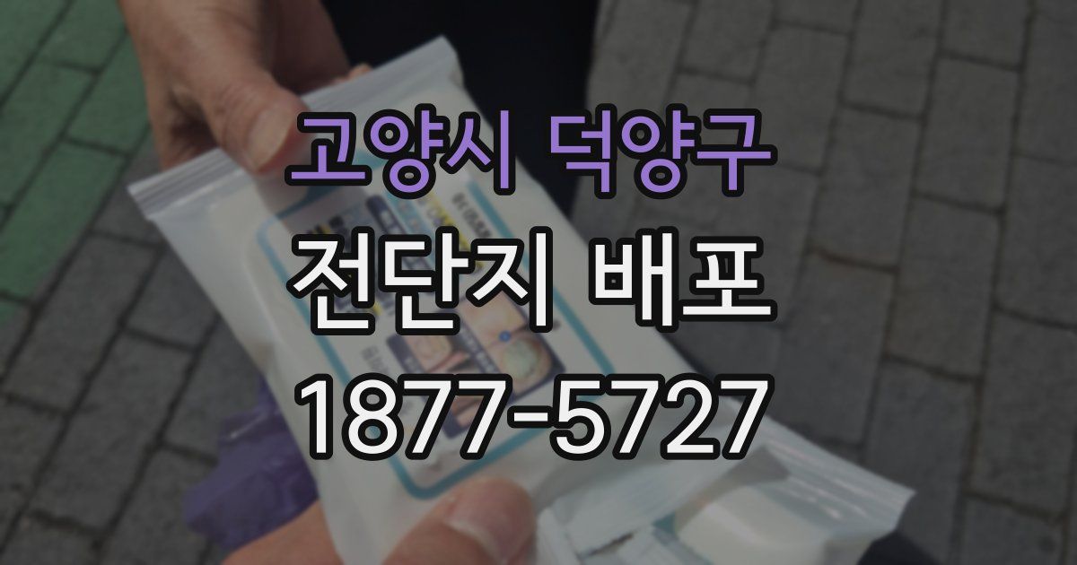 고양시 덕양구 전단지 배포
