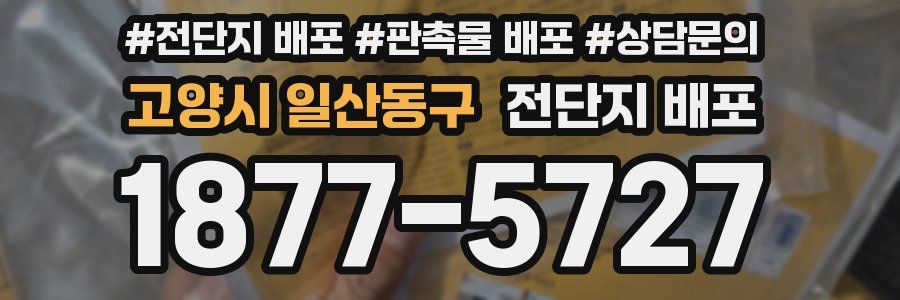 고양시 일산동구 전단지 배포