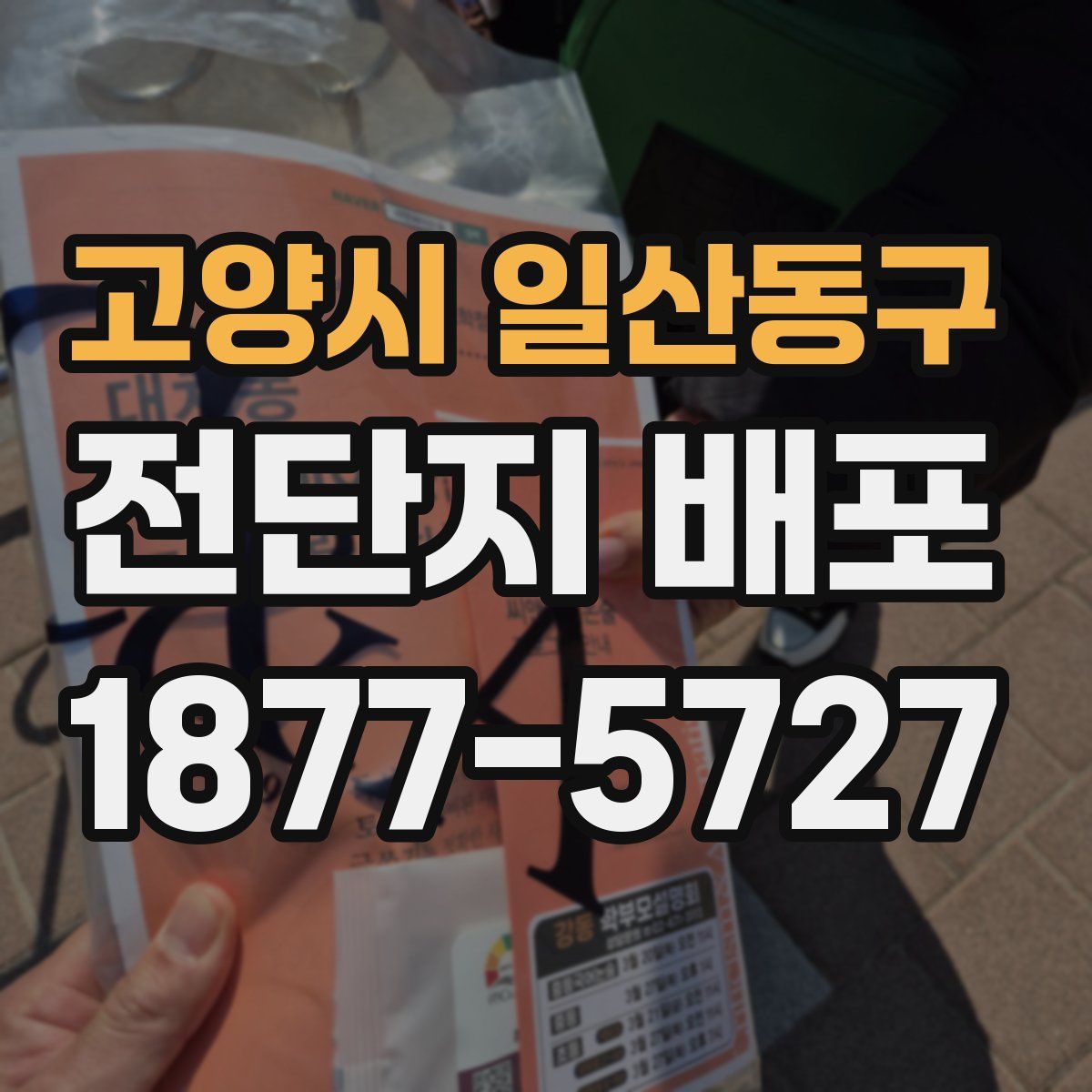 고양시 일산동구 전단지 배포