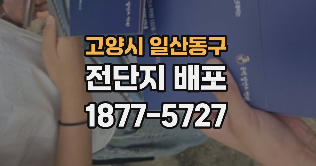 고양시 일산동구 전단지 배포