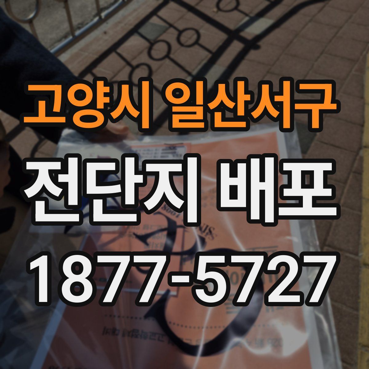고양시 일산서구 전단지 배포