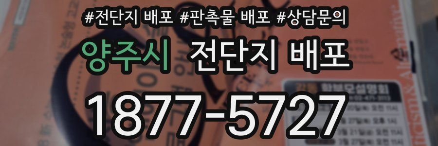 양주시 전단지 배포