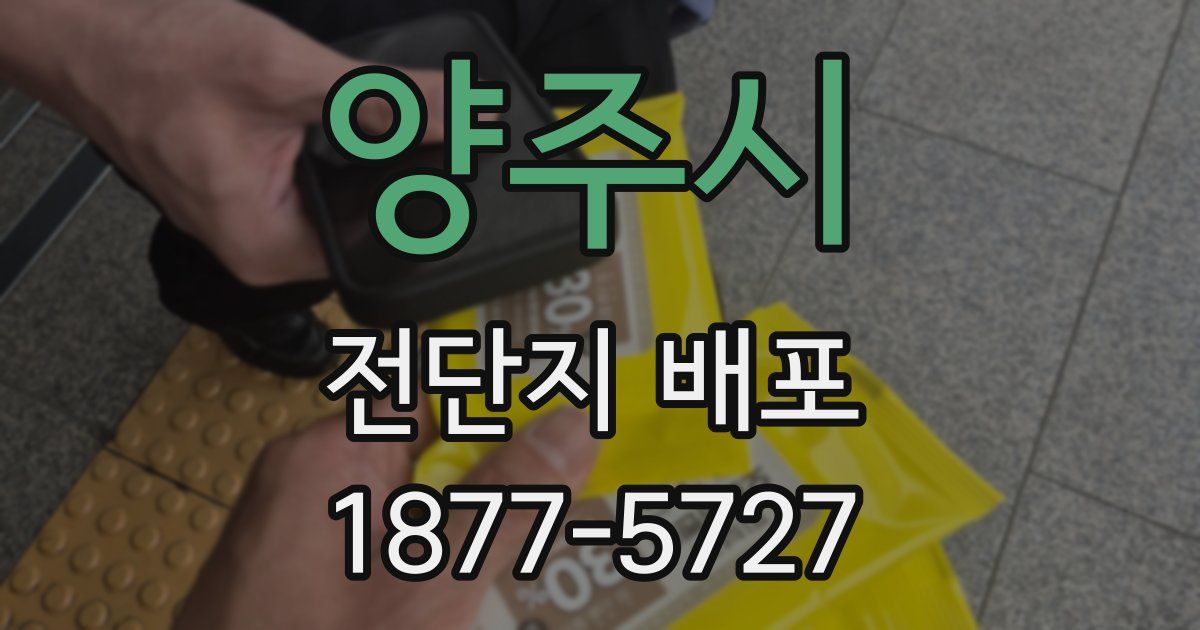 양주시 전단지 배포