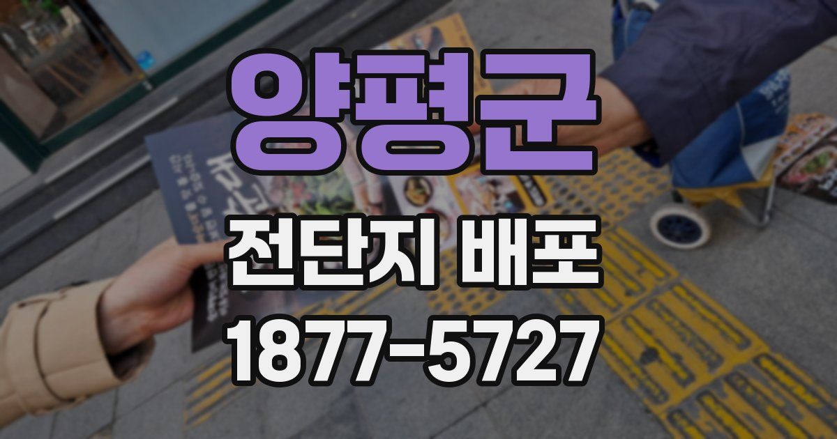 양평군 전단지 배포