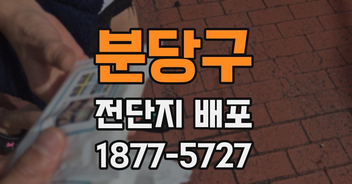 분당구 전단지 배포