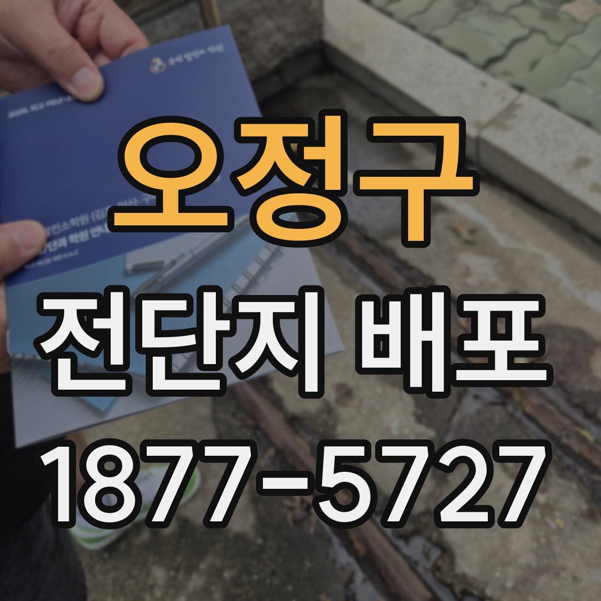 오정구 전단지 배포