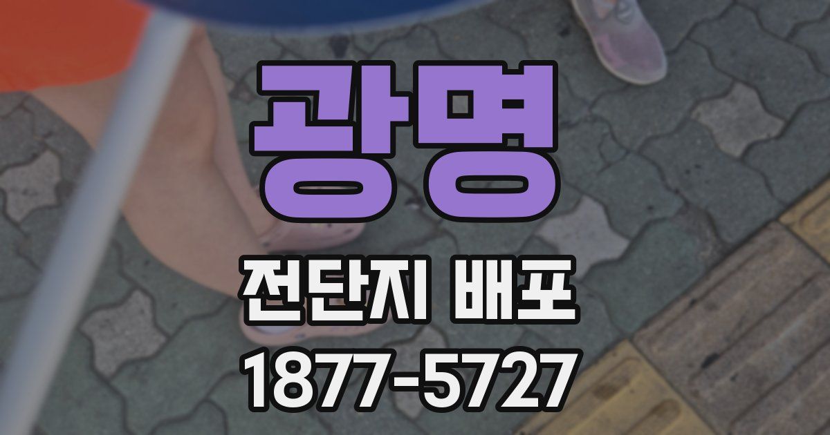 광명 전단지 배포