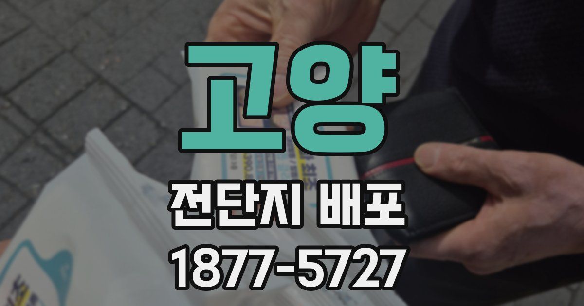 고양 전단지 배포