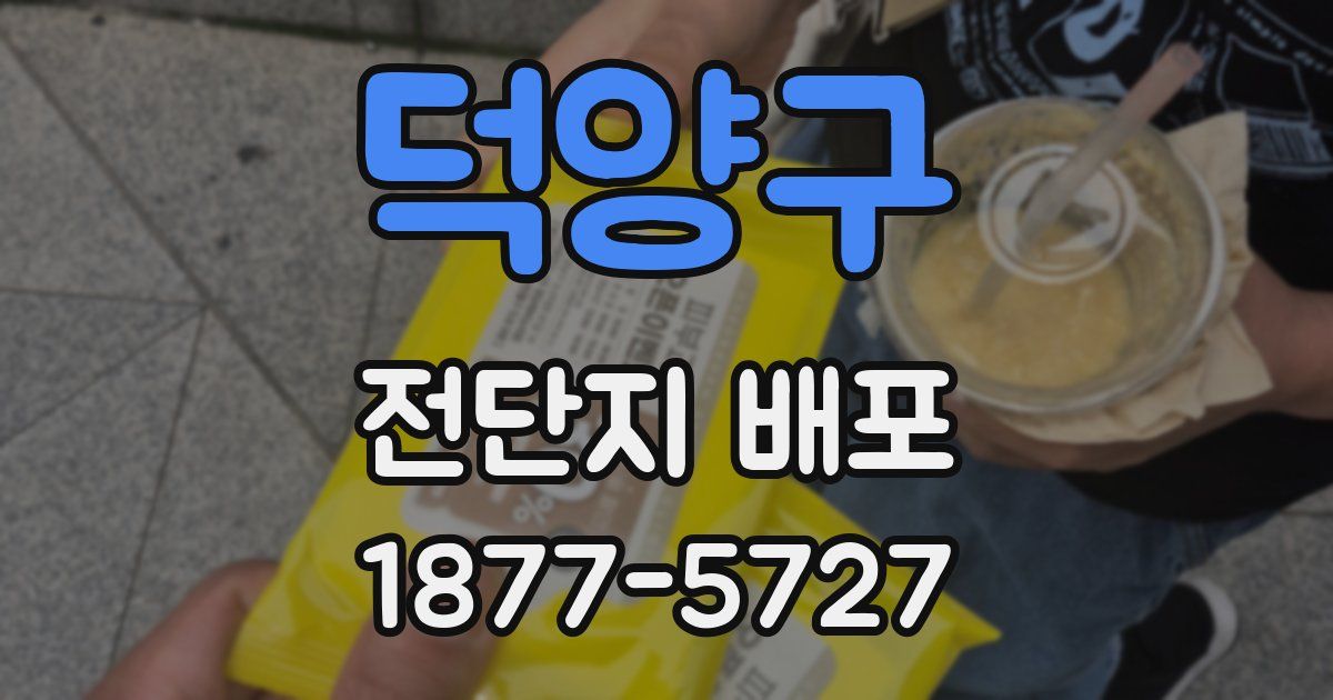 덕양구 전단지 배포