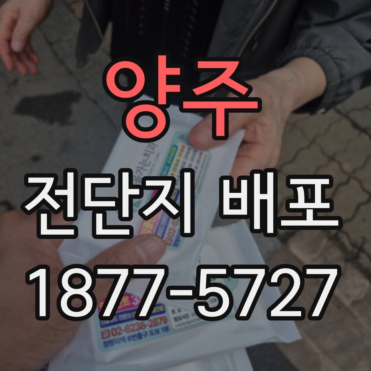 양주 전단지 배포