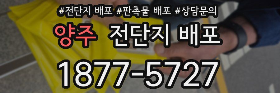 양주 전단지 배포