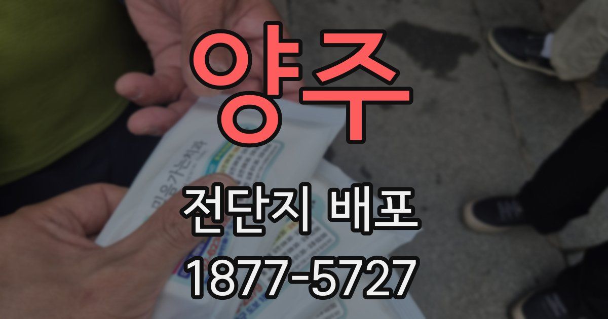 양주 전단지 배포