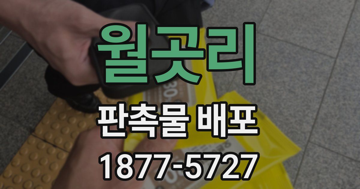월곳리 판촉물 배포
