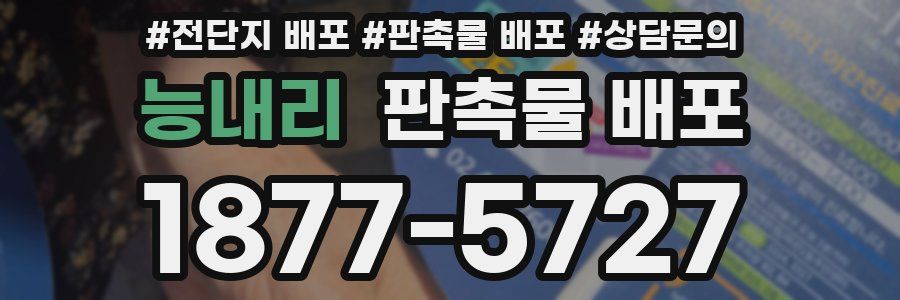 능내리 판촉물 배포