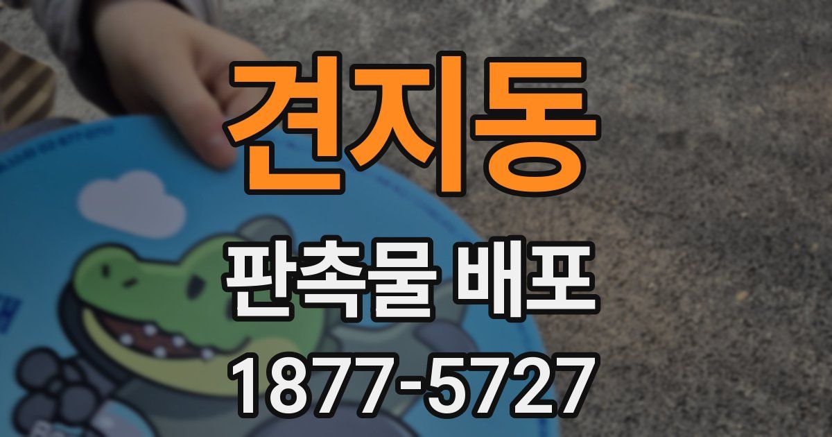 견지동 판촉물 배포