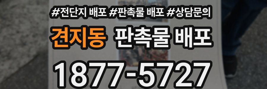 견지동 판촉물 배포