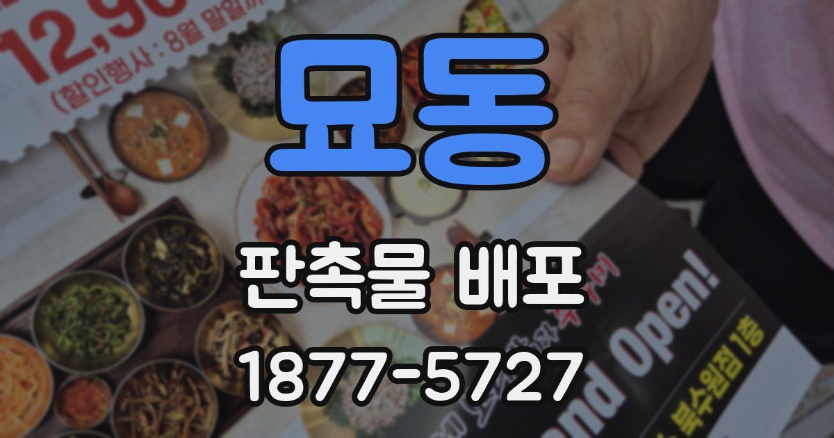 묘동 판촉물 배포