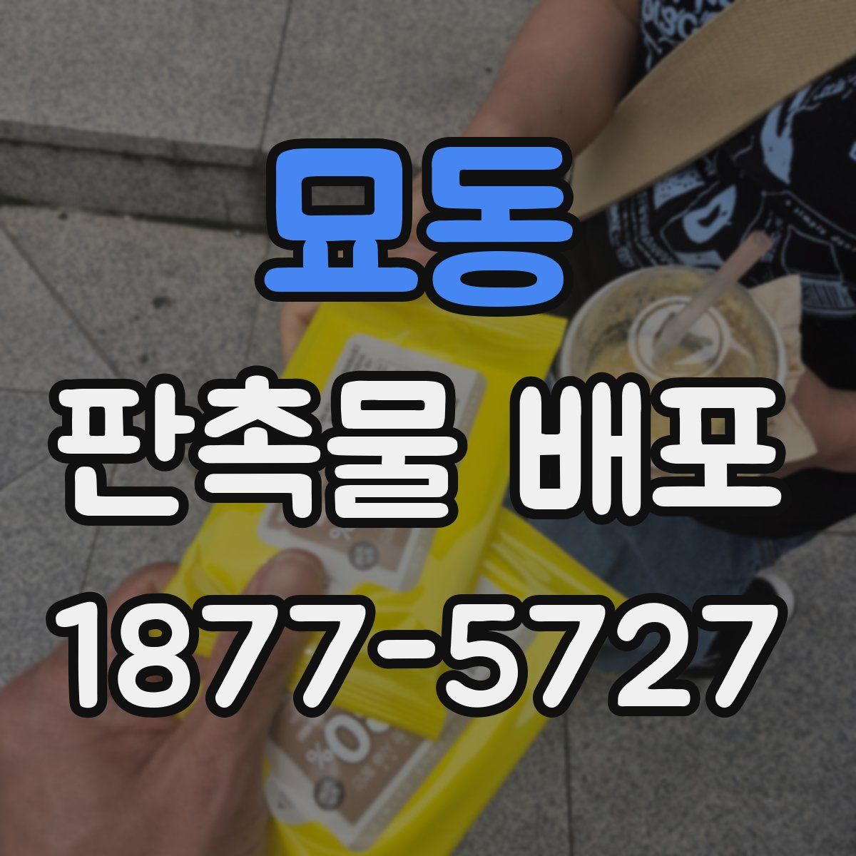 묘동 판촉물 배포