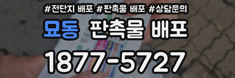 묘동 판촉물 배포