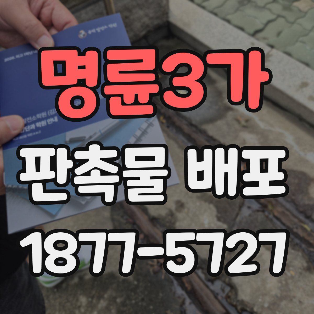 명륜3가 판촉물 배포