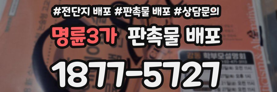 명륜3가 판촉물 배포