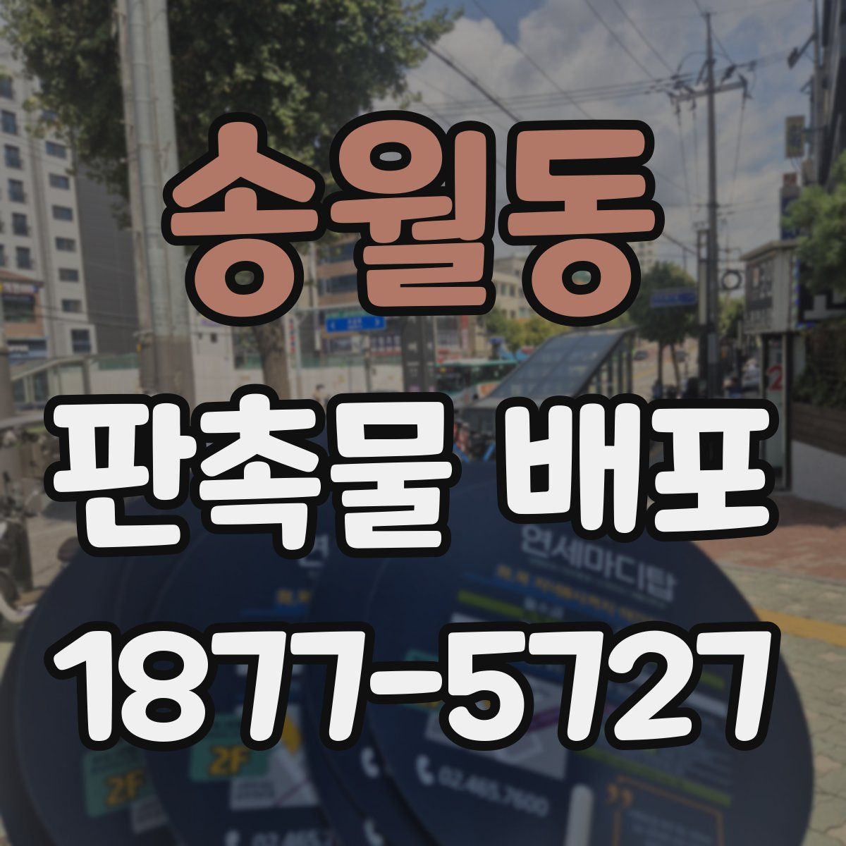 송월동 판촉물 배포
